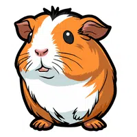 Guinea Pig in English
