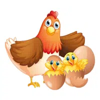Animals and Their Babies Names |Hen _ Chick in English