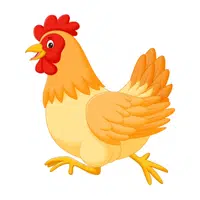 Hen in English