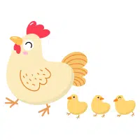 Animals and Their Babies Names |Hen — Chick in English