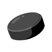 Hockey Puck | Types Of Sports Balls Names in English