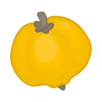 Yellow Fruits Names |Jackfruit in English