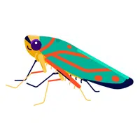 Leafhopper | Insects Names in English