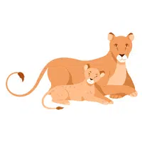 Animals and Their Babies Names |Lioness _ Cub in English