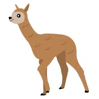 Animals Babies Names and Their Homes Names |Llama Cria in English