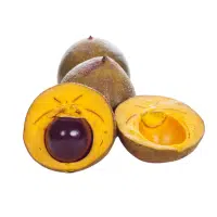Lucuma in English