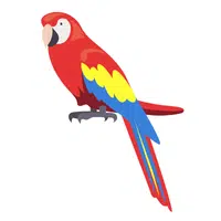 Macaw in English