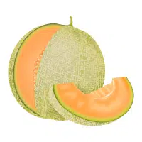 Yellow Fruits Names |Melon in English