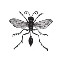 Mud dauber | Insects Names in English