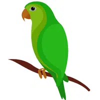 Animals Babies Names and Their Homes Names | Parrot in English