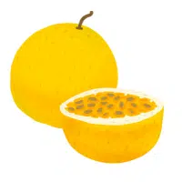 Passion Fruit in English