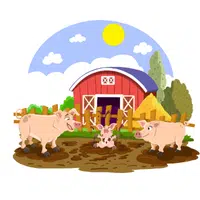 Animals Babies Names and Their Homes Names |Pig sty in English