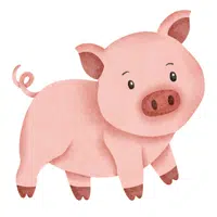Animals Babies Names and Their Homes Names |Pig in English