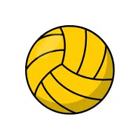 Polo Ball | Types Of Sports Balls Names in English