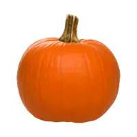 Yellow Fruits Names |Pumpkin in English