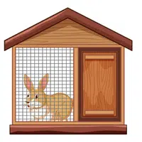 Animals Babies Names and Their Homes Names | Rabbit hutch in English
