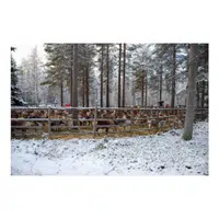 Reindeer Paddock in English