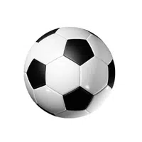 Soccer Ball | Types Of Sports Balls Names in English