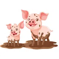 Animals and Their Babies Names |Sow — Piglet in English