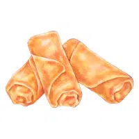 Fast Food items names |Spring roll in English