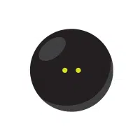 Squash Ball | Types Of Sports Balls Names in English