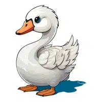 Animals Babies Names and Their Homes Names |Swan Cygnet in English