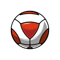 Teqball Ball | Types Of Sports Balls Names in English