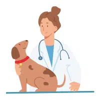 Types of Doctors Names | Veterinarian in English
