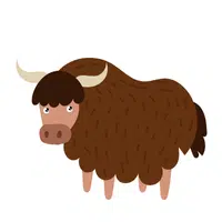 Yak in English