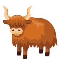 Animals Babies Names and Their Homes Names | Yak calf in English