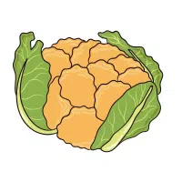 Cauliflower | Yellow Vegetables Names in English