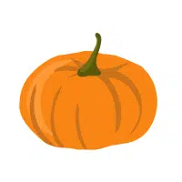 Yellow Acorn Squash Vegetable Name in English