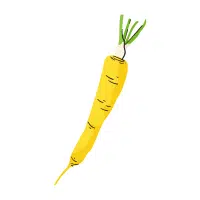 Carrot | Yellow Vegetables Names in English