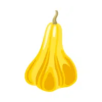 Yellow Gourd | Yellow Vegetables Names in English