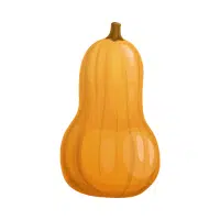Pumpkin | Yellow Vegetables Names in English