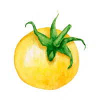 Tomato | Yellow Vegetables Names in English