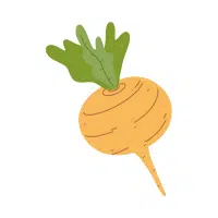 Turnip | Yellow Vegetables Names in English