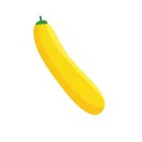 Zucchini Yellow Vegetable Name in English