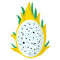 Yellow Dragon Fruit in English