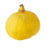 Yellow Fig in English