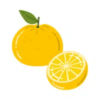 Yellow Fruits Names |Yellow Yuzu in English