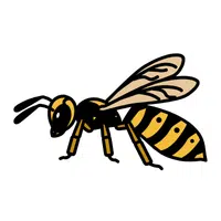 Yellowjacket Insect Name in English