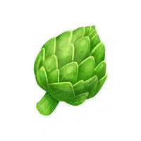 Artichoke Vegetable Name in English