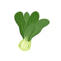 Bok Choy Vegetable Name in English