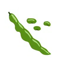Broad Bean Vegetable Name in English