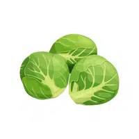 Brussels Sprouts Vegetable Name in English