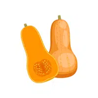 Butternut Squash Vegetable Name in English