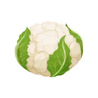 Cauliflower Vegetable Name in English
