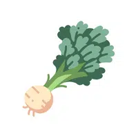 Celeriac Vegetable Name in English