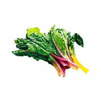 Chard Vegetable Name in English